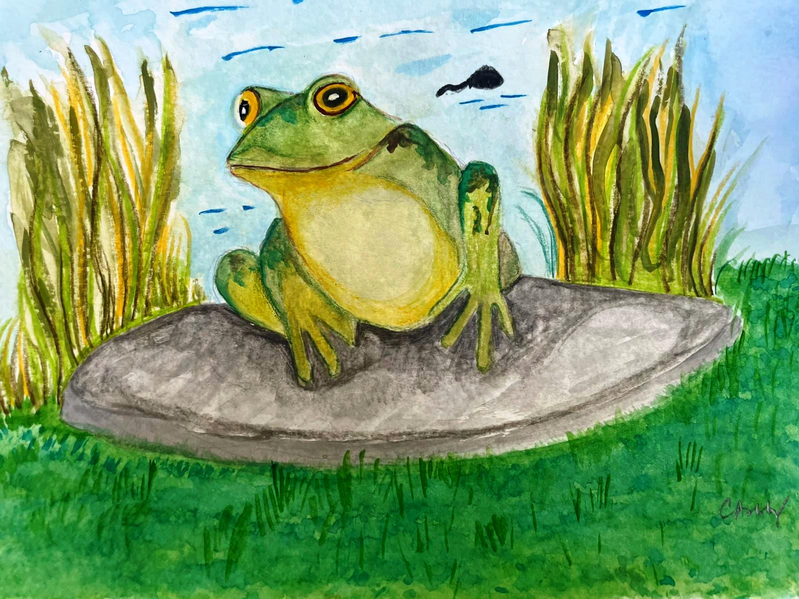 Frog by Colin