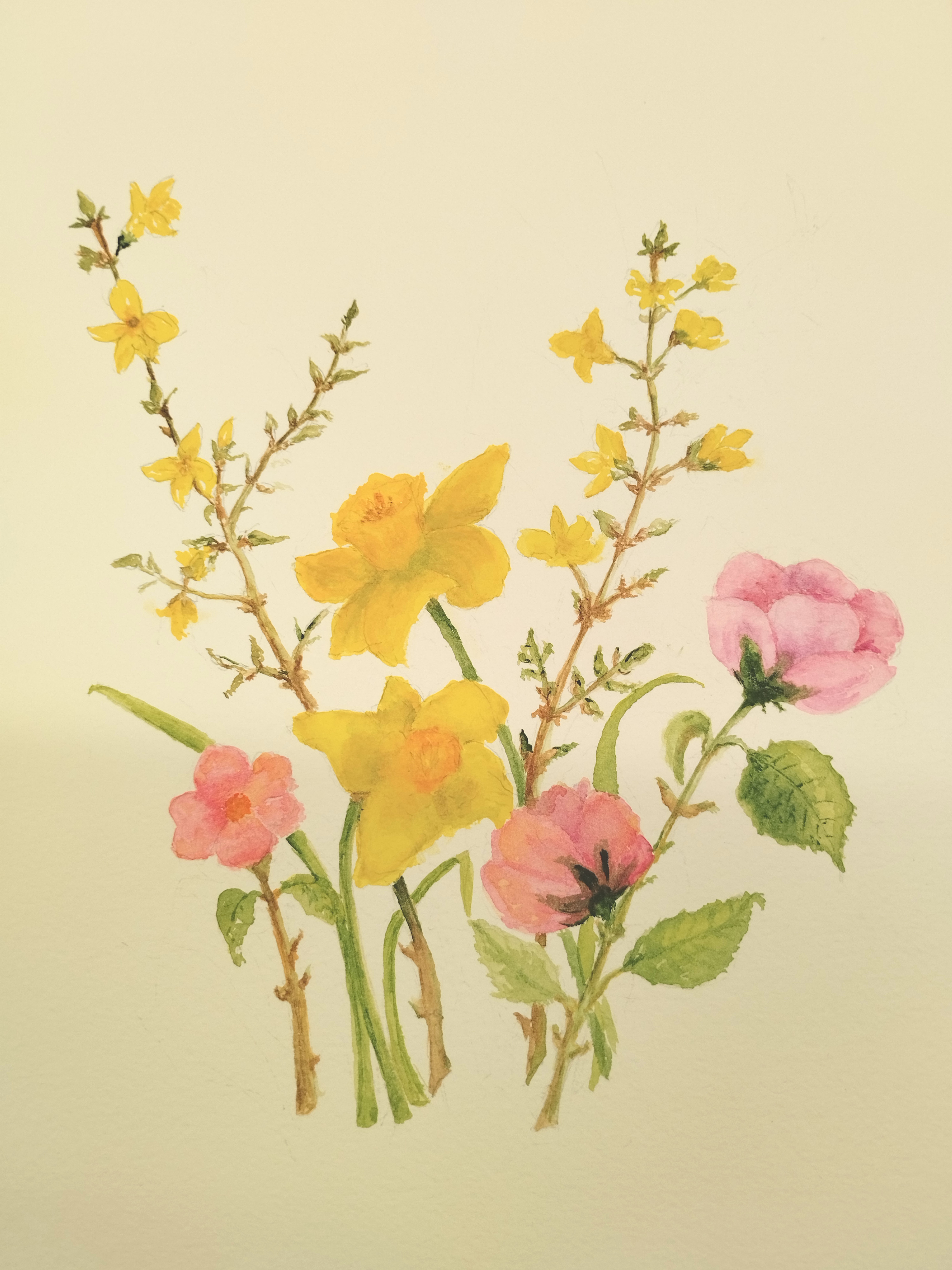 Spring-Flowers-by-Jean