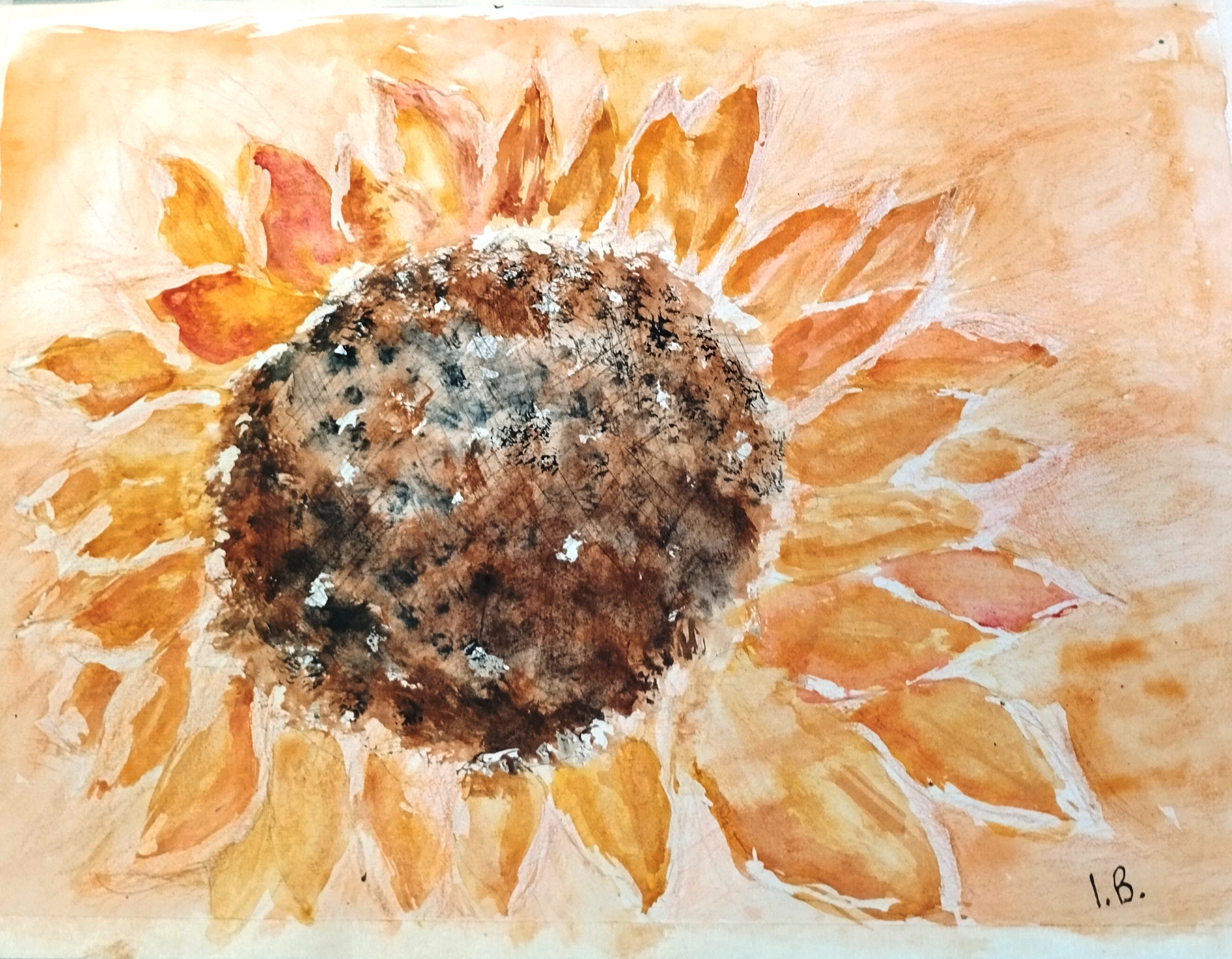 Sunflower by Ian