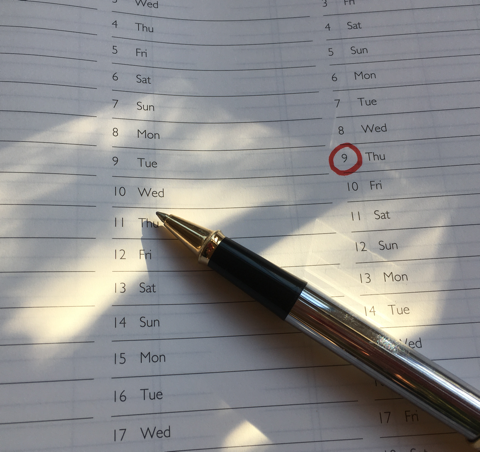 Diary and pen